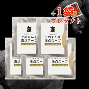 1袋プレゼント！お得なすっぽんスープ5袋セット